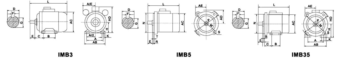 ml-yl-dimensions.jpg